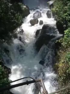 小仓鼠吃瓜子